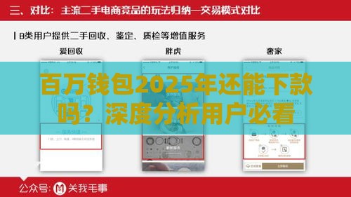 百万钱包2025年还能下款吗？深度分析用户必看