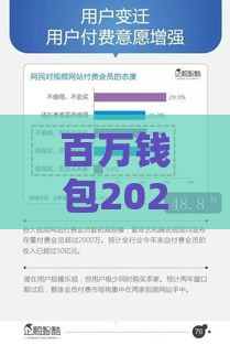 百万钱包2025年还能下款吗？深度分析用户必看