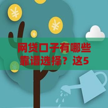 网贷口子有哪些靠谱选择？这5大正规平台快速下款不踩坑！