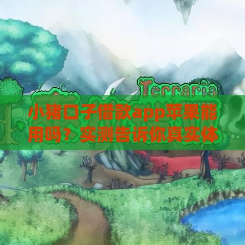 小猪口子借款app苹果能用吗？实测告诉你真实体验！