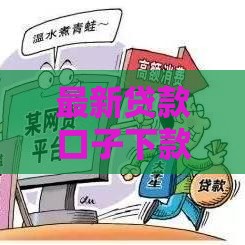 最新贷款口子下款攻略，秒批技巧一次讲透