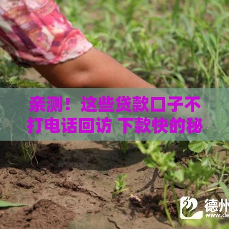 亲测！这些贷款口子不打电话回访 下款快的秘密都在这