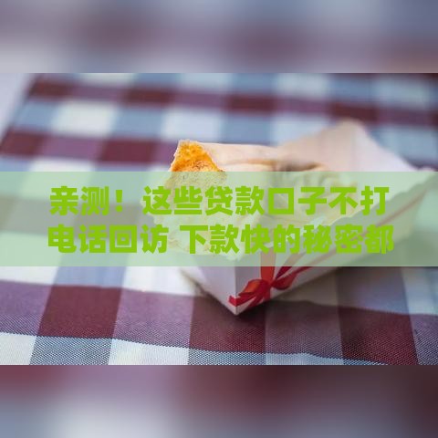 亲测！这些贷款口子不打电话回访 下款快的秘密都在这