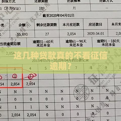 这几种贷款真的不看征信逾期？