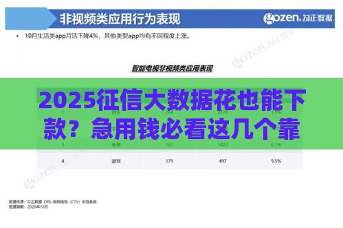 2025征信大数据花也能下款？急用钱必看这几个靠谱口子！