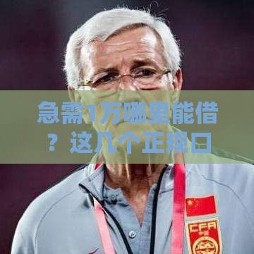 急需1万哪里能借？这几个正规口子亲测有效！