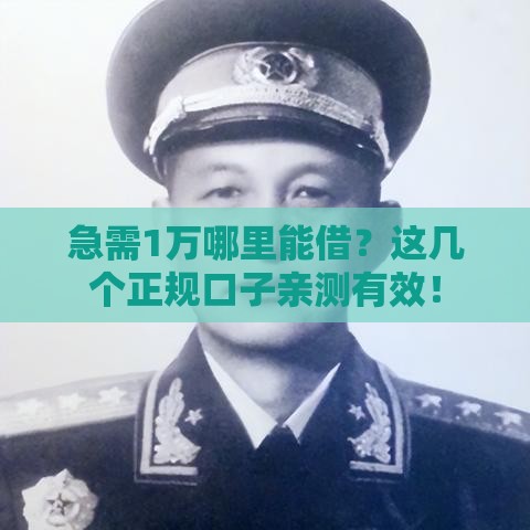 急需1万哪里能借？这几个正规口子亲测有效！