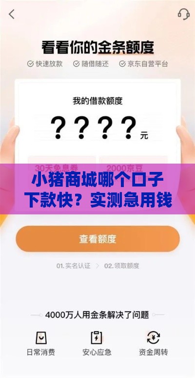 小猪商城哪个口子下款快？实测急用钱必看攻略！