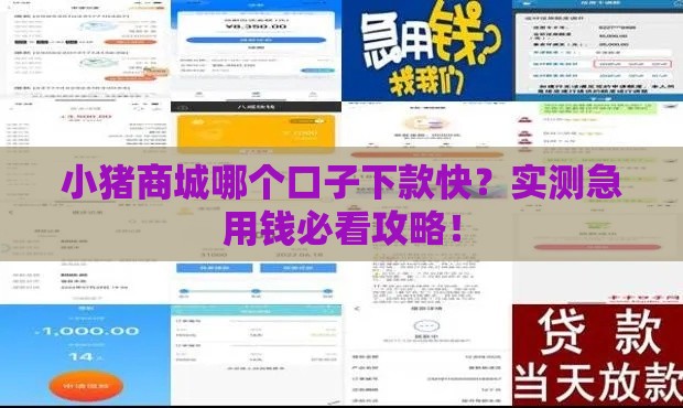小猪商城哪个口子下款快？实测急用钱必看攻略！