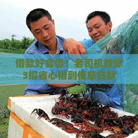 借款好会借！老司机教你3招省心借到低息贷款