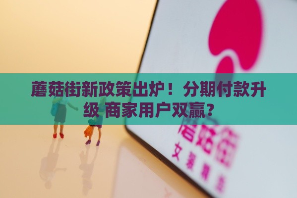 蘑菇街新政策出炉！分期付款升级 商家用户双赢？