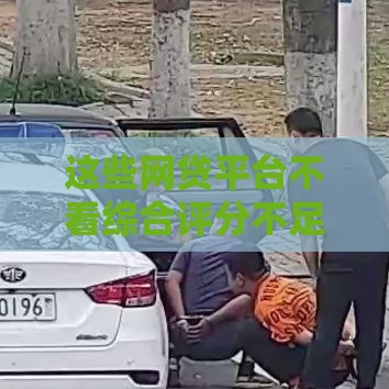 这些网贷平台不看综合评分不足