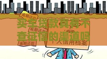 买车贷款真有不查征信的渠道吗？这几种情况要看清