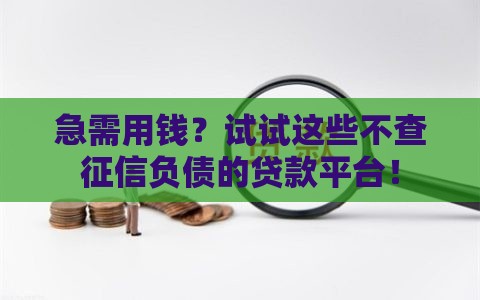急需用钱？试试这些不查征信负债的贷款平台！