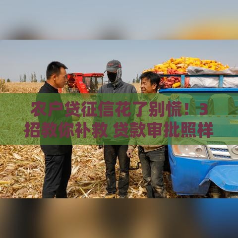 农户贷征信花了别慌！3招教你补救 贷款审批照样过