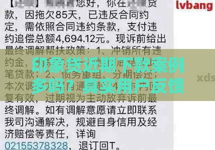 印象贷近期下款案例多吗？真实用户反馈+通过率解析