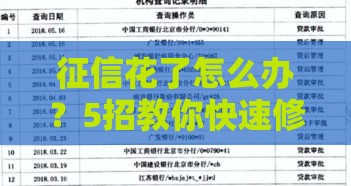 征信花了怎么办？5招教你快速修复信用，贷款不再愁！