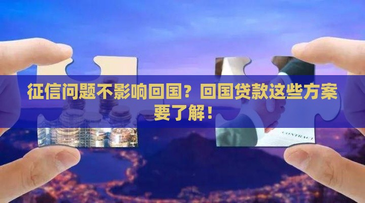 征信问题不影响回国？回国贷款这些方案要了解！