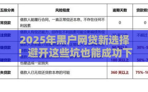2025年黑户网贷新选择！避开这些坑也能成功下款？