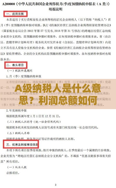 A级纳税人是什么意思？利润总额如何影响贷款申请？