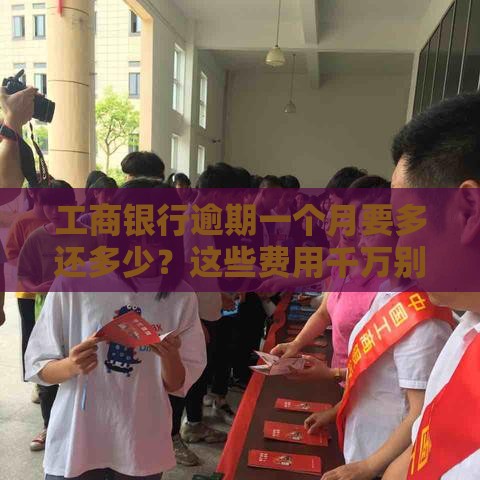 工商银行逾期一个月要多还多少？这些费用千万别忽视！