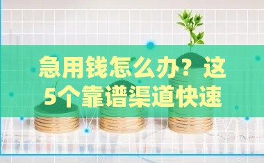 急用钱怎么办？这5个靠谱渠道快速解决资金难题