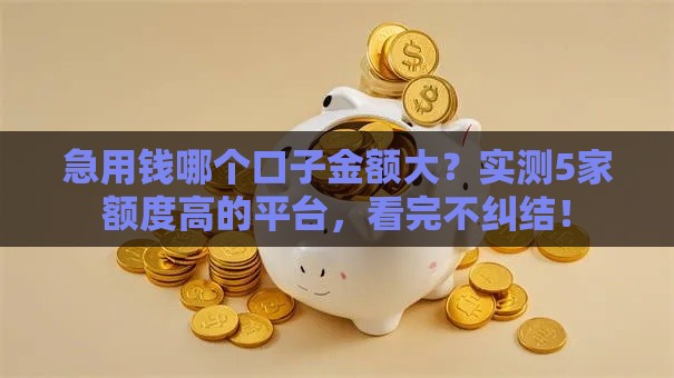 急用钱哪个口子金额大？实测5家额度高的平台，看完不纠结！