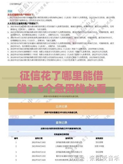 征信花了哪里能借钱？5个急用钱必看渠道