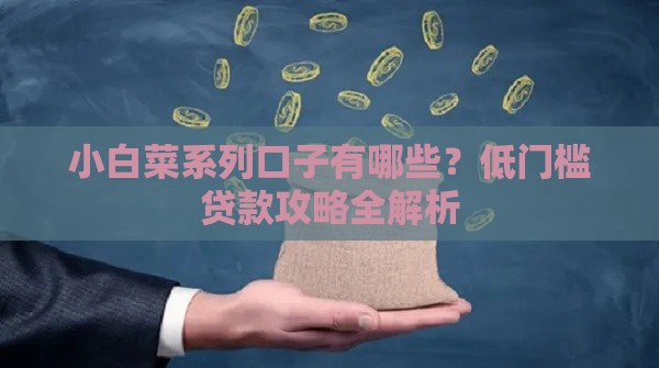 小白菜系列口子有哪些？低门槛贷款攻略全解析