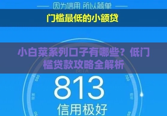 小白菜系列口子有哪些？低门槛贷款攻略全解析