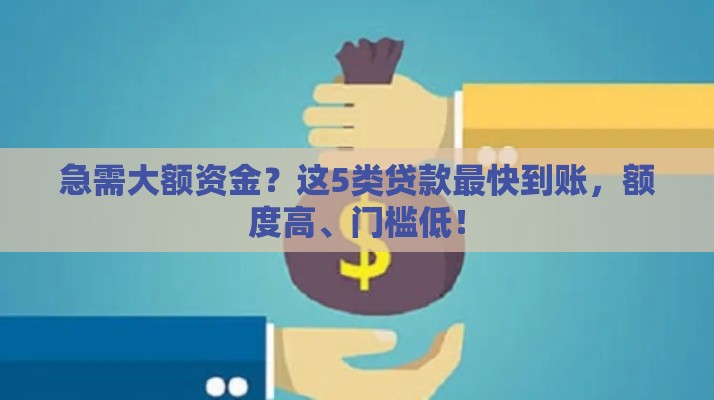 急需大额资金？这5类贷款最快到账，额度高、门槛低！