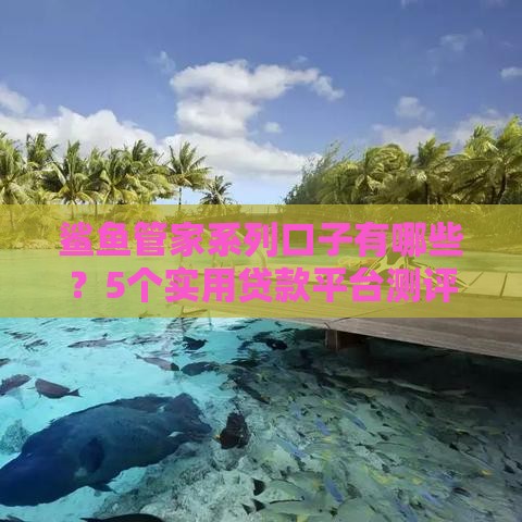 鲨鱼管家系列口子有哪些？5个实用贷款平台测评