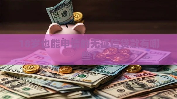 18岁也能申请的无征信贷款有哪些？