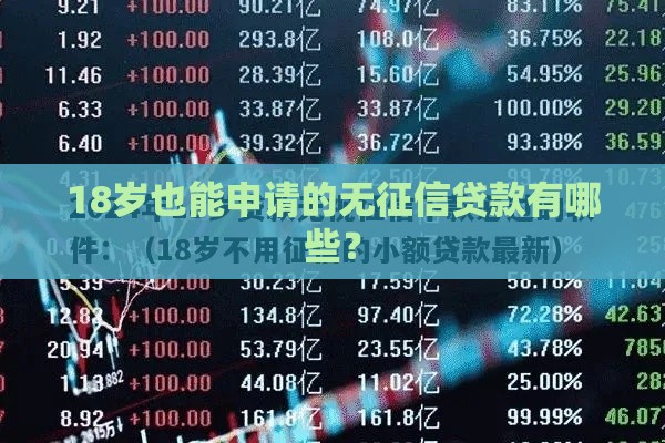 18岁也能申请的无征信贷款有哪些？