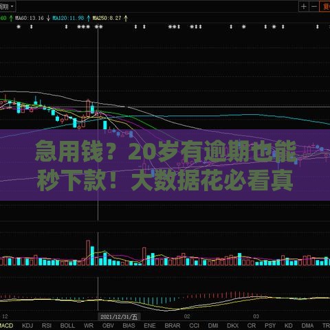 急用钱？20岁有逾期也能秒下款！大数据花必看真实口子推荐