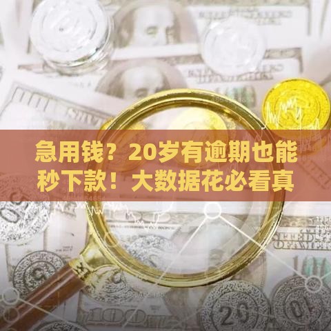 急用钱？20岁有逾期也能秒下款！大数据花必看真实口子推荐
