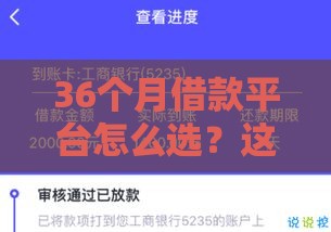 36个月借款平台怎么选？这5点帮你避开坑，轻松搞定贷款难题！