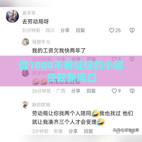 借1000不看征信的小额贷款新风口