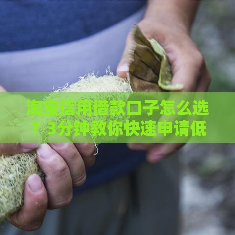 淘宝信用借款口子怎么选？3分钟教你快速申请低息贷款！