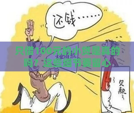 只借100元的小贷是真的吗？这些细节要留心