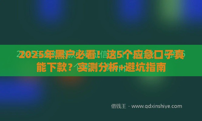 2025年黑户必看！这5个应急口子真能下款？实测分析+避坑指南
