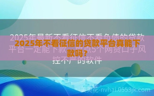 2025年不看征信的贷款平台真能下款吗？
