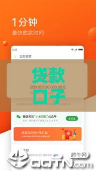 贷款口子哥放水真相揭秘！这些申请技巧助你快速下款
