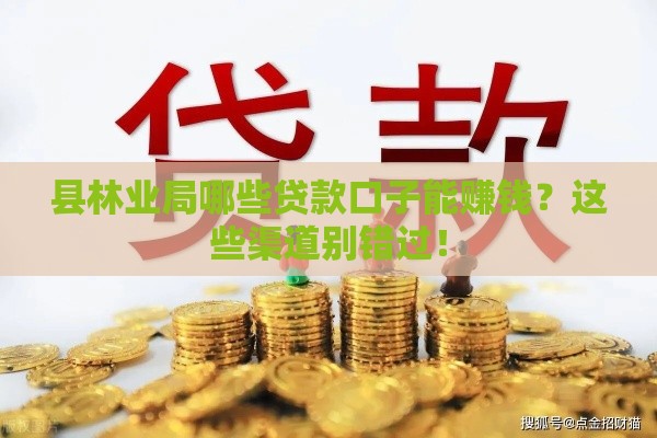 县林业局哪些贷款口子能赚钱？这些渠道别错过！