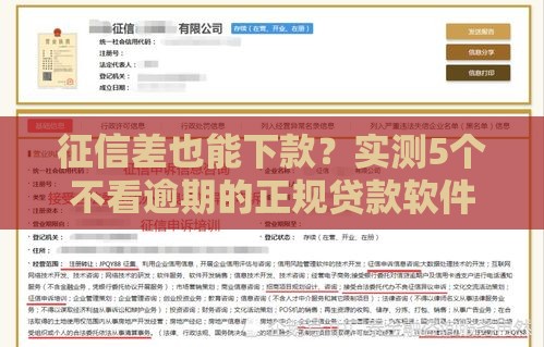 征信差也能下款？实测5个不看逾期的正规贷款软件