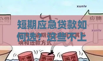 短期应急贷款如何选？这些不上征信的合法渠道值得尝试