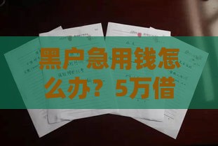 黑户急用钱怎么办？5万借款避坑指南，这些细节别忽略！