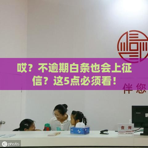 哎？不逾期白条也会上征信？这5点必须看！