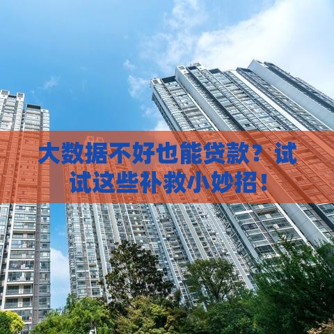 大数据不好也能贷款？试试这些补救小妙招！