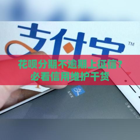 花呗分期不逾期上征信？必看信用维护干货